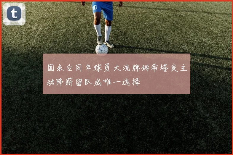 国米合同年球员大洗牌姆希塔良主动降薪留队成唯一选择